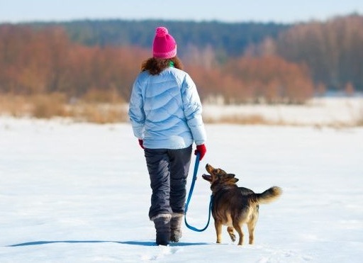 Быть в форме не так сложно, как кажется