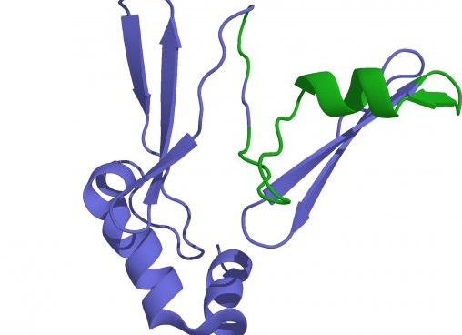 Как крепче спать, быстрее набрать мышечную массу и улучшить качество секса