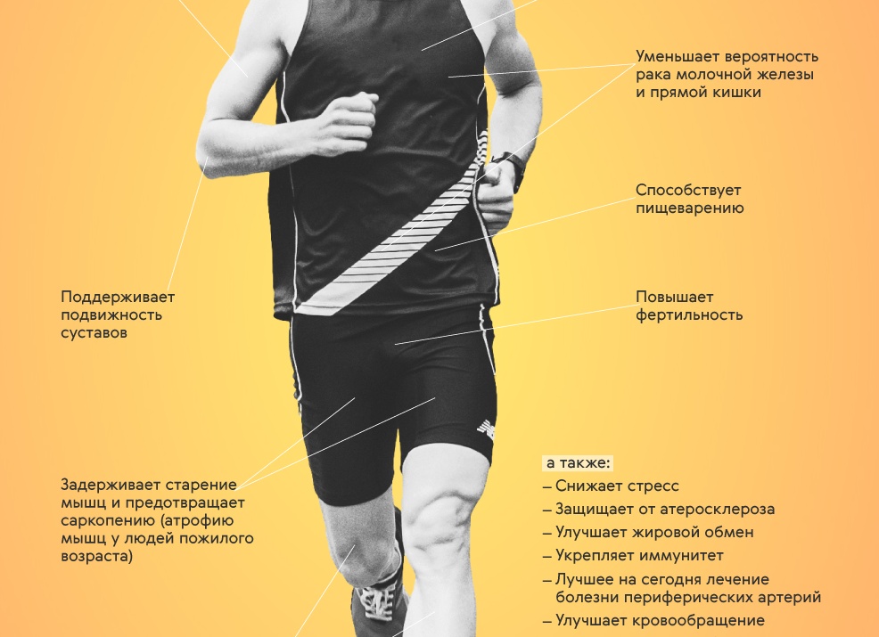 Как бег прокачивает мозг