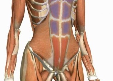 3 лучших упражнения для нижнего пресса