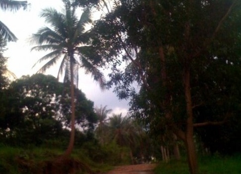 ВИДЕО: Эйми Маллинс о беге