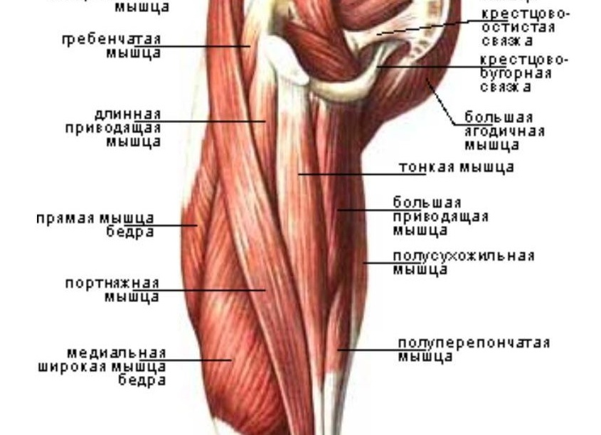 Три способа протестировать свою гибкость