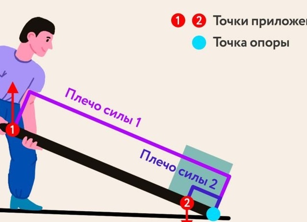 Биомеханика в спортзале: как накачать мышцы, используя принцип рычага