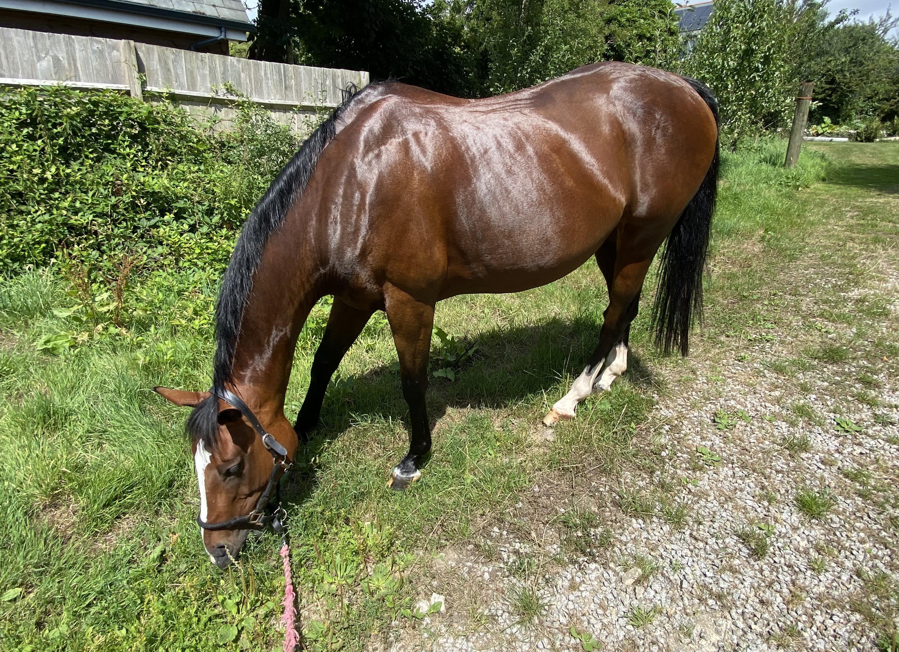 Как бороться с усталостью и скукой во время длительных пробежек